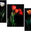 Set Of 3 - Image 3