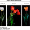Set Of 3 - Image 2