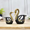SWAN - Image 3